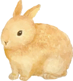 ウサギ