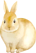 ウサギ